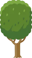 tree 13
