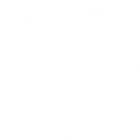꽃