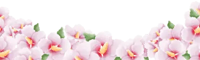무궁화
