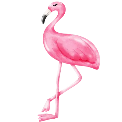 Flamingo 