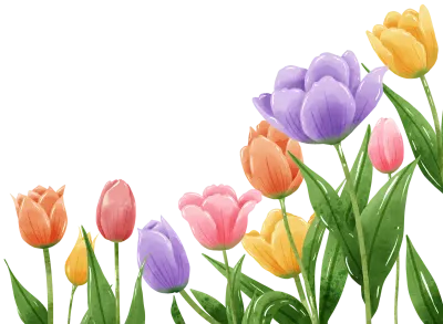 Handdrawn illustration watercolor colorful tulips frames
