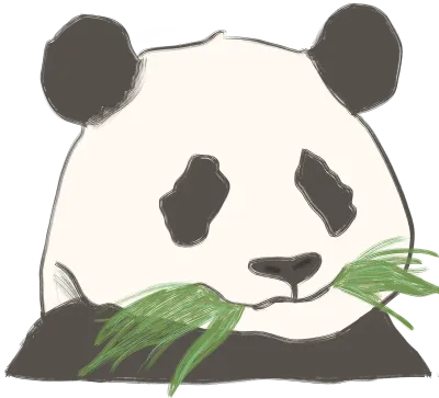 팬더