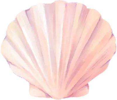 shell1