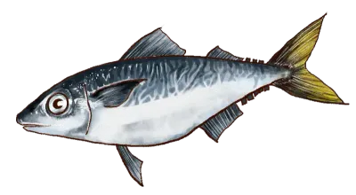 바다생물