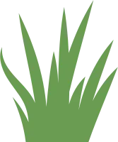 Grass Flat Illustration