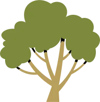side view of tree illustration.