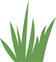Grass Flat Illustration