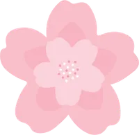 벚꽃2