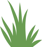 Grass Flat Illustration