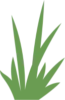 Grass Flat Illustration