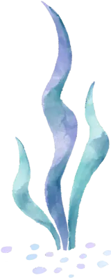 ocean1