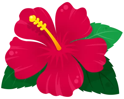 히비스커스,hibiscus,꽃,flower,하와이꽃,붉은꽃,여름꽃,여름식물,열대식물,열대꽃,빨간꽃