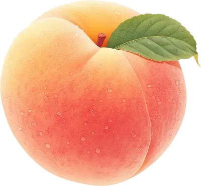 복숭아