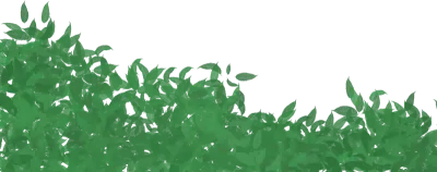 Grass illustration for great design