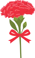 carnation_08