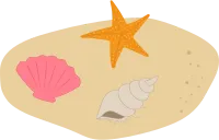 모래 조개