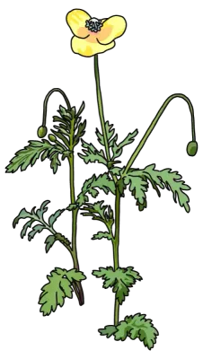 pl145_3