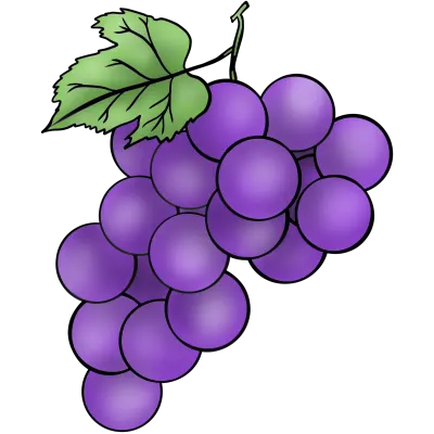 Grape