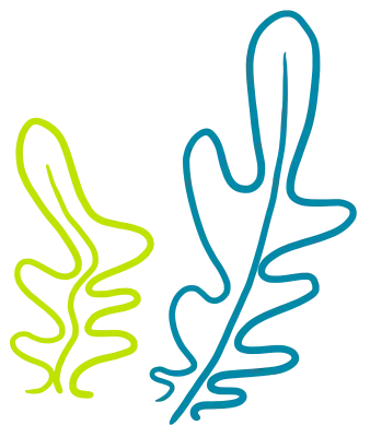 잎
