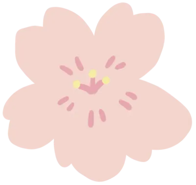꽃