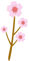 벚꽃
