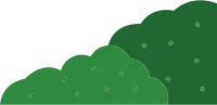 tree_20
