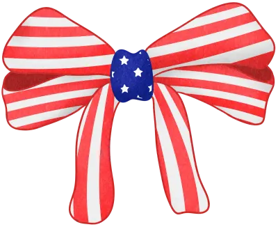 Patriotic Ribbon with American Flag Bow