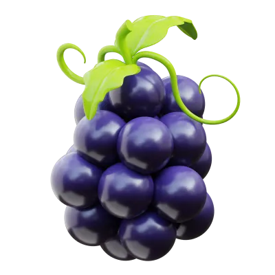 3D Grapes Illustration