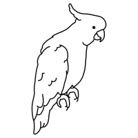 Hippo