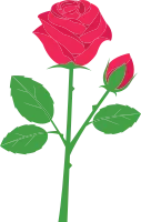 rose_04