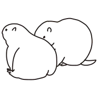 prairie dog