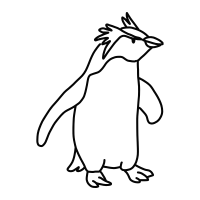 rockhopper penguin