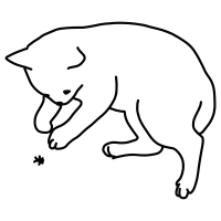 cat