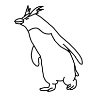 rockhopper penguin
