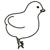 chick