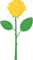 rose_08