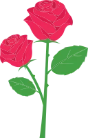 rose_03