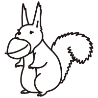 squirrel