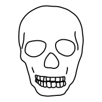 Skull