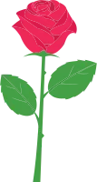 rose_02