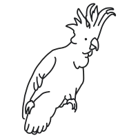 Hippo