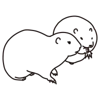 prairie dog