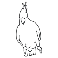 Hippo