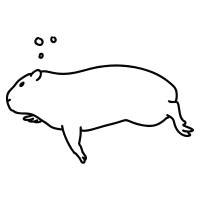 capybara