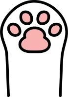 Cat Pad