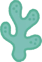 미역 해초