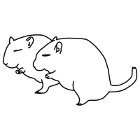 gerbil