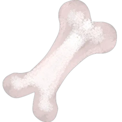 Bone