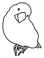 Java Sparrow