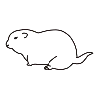 prairie dog